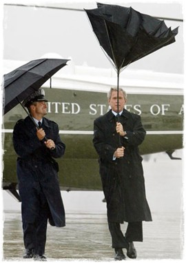 Буш с зонтом